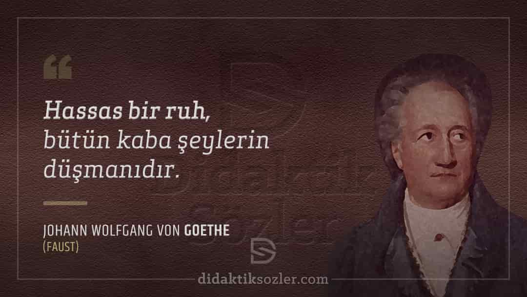 Johann Wolfgang Von Goethe Sözleri